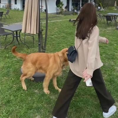 为我的青春呐喊